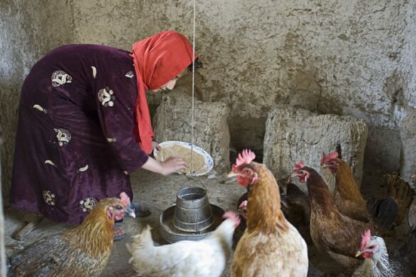 Drobná pomoc – velká změna