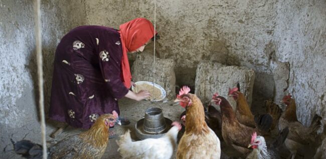 Drobná pomoc – velká změna