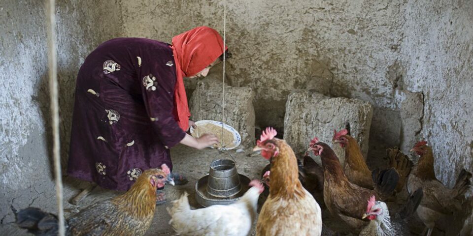 Drobná pomoc – velká změna